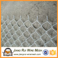 Fabriqué dans Anping Galvanized Chain Link Fences sont utilisés dans un endroit de protection